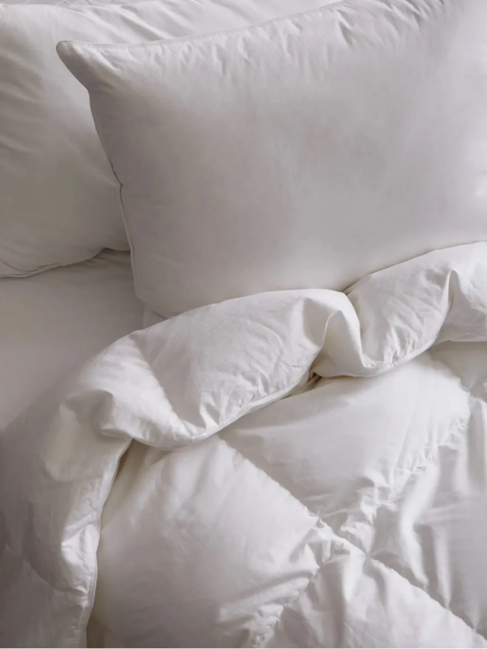 Full/Queen Luxe European Goose Down Comforter - All Season Retail $284